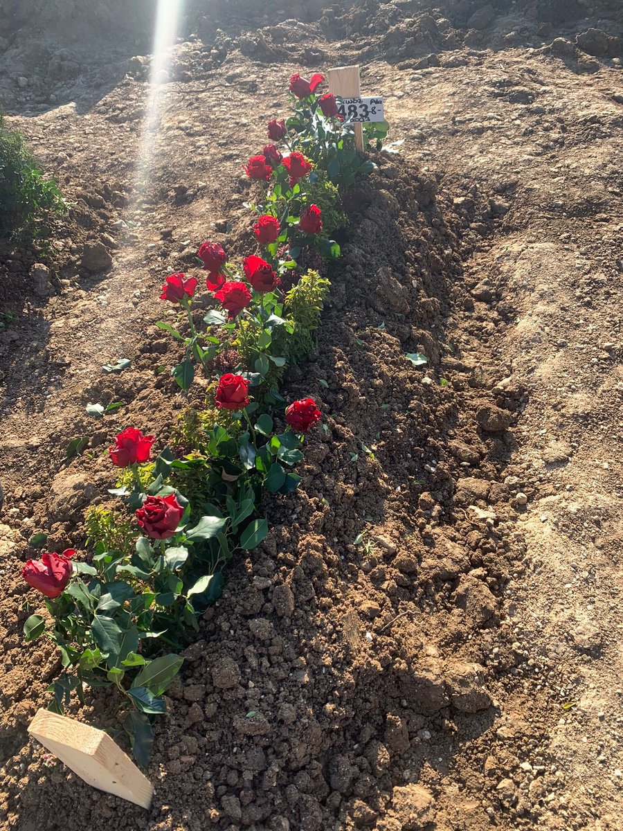 Can Günay tweet media