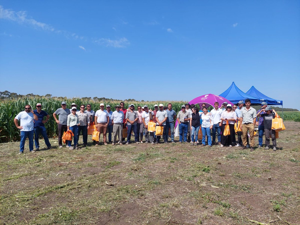 Hoy realizamos la jornada de cultivos de verano BASF en Tandil. 

Durante la jornada, nuestros invitados y equipo, aprendieron sobre: 
✔️Descripción de híbridos y variedades
✔️Manejo 
✔️Protección
✔️Herramienta digital Xarvio