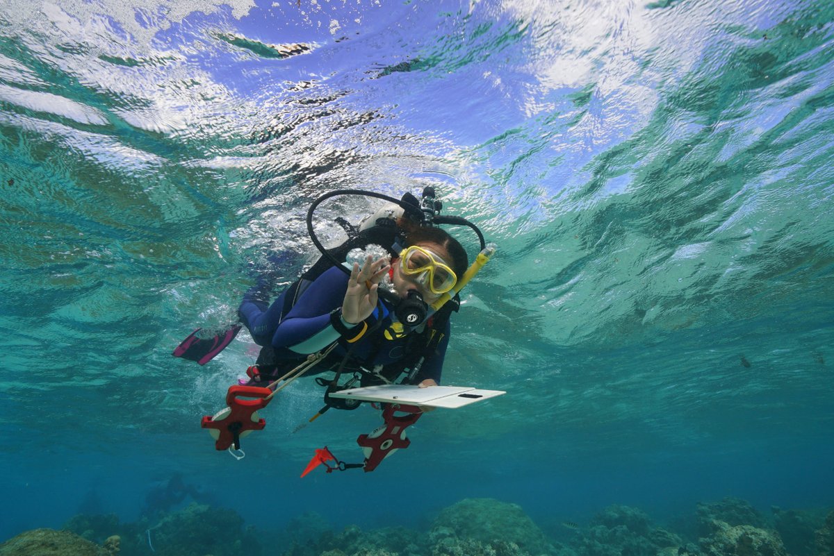 LettersPreSci's tweet image. Head over to our Instagram page (@.prescientist) to meet Ileana Fenwick (@_ileanaf), Doctoral Student in Marine Science at UNC Chapel Hill in North Carolina for today's #TuesdayTakeover!!

#Takeover #STEMPenPal #RealLifeScientist #WhatAScientistLooksLike