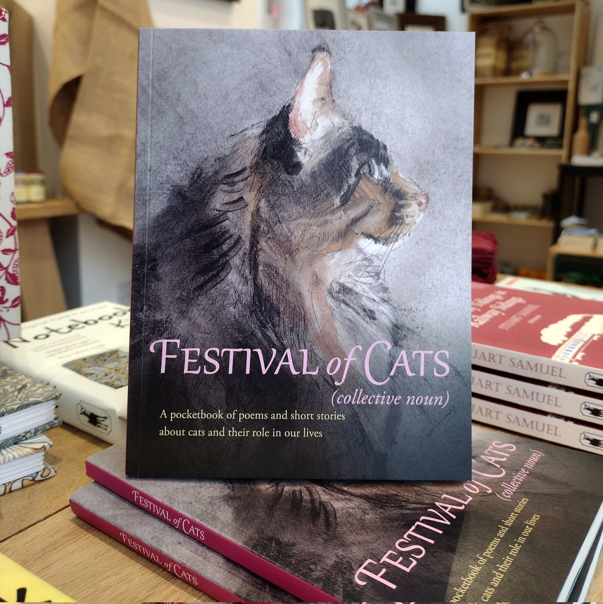 It's PUBLICATION DAY for poetry and short story collection #FestivalofCats #anthology #NewRelease 'A delightful and heart warming collection... A lovely reminder of the privilege of being chosen to be part of a cat's life' ⭐⭐⭐⭐⭐ Goodreads review