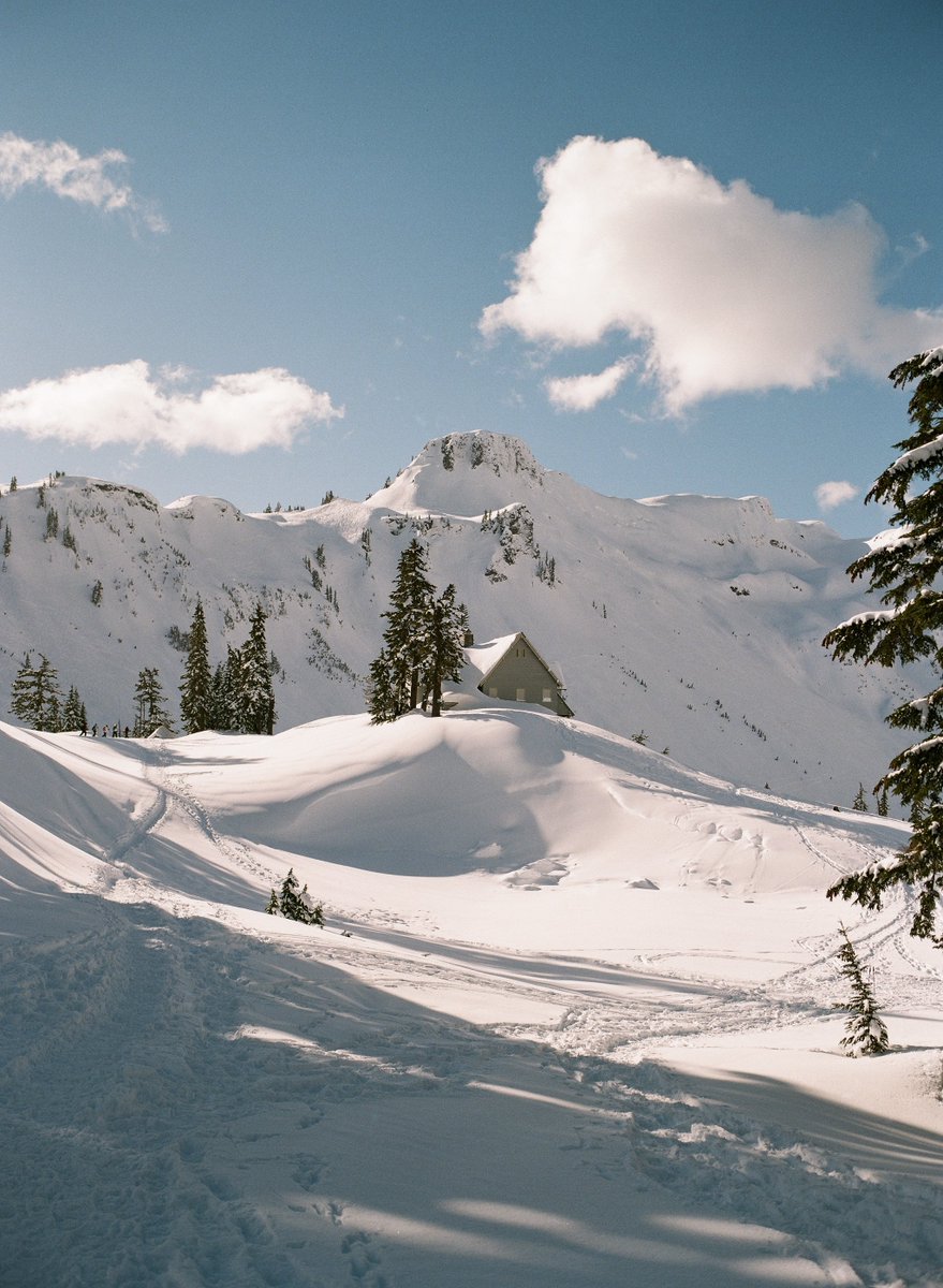 kivraan's tweet photo. A snowy afternoon on Gold 200 🎞️ https://t.co/TrmILnMV39