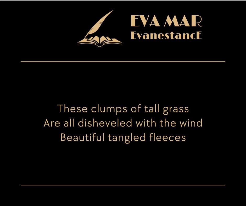 #poésie #poetry #poems #Poet
#writing #writer #haikus #nouvelles 
#WritingCommunity #PoetryCommunity
#micropoetry #poetweet #webpoesie #littérature
#inspoète #poète #instapoet #poetress #instapoésie