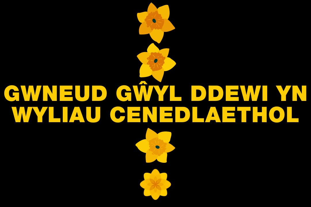 Plaid Cymru 🏴󠁧󠁢󠁷󠁬󠁳󠁿 tweet media