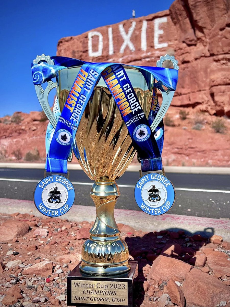 Lion'sDenFútbolClub tweet media