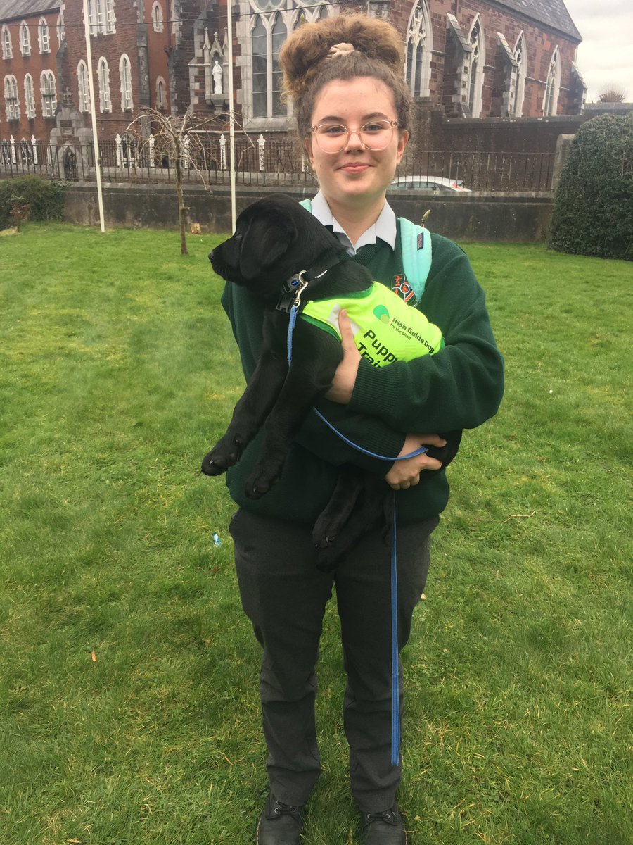 Thank you so much to Dolly and her family for letting Kim visit us in St Als today. We disrupted every class and it was worth it! She will be off to her training soon @irishguidedogs and will surely become an amazing companion for someone. 🫶
