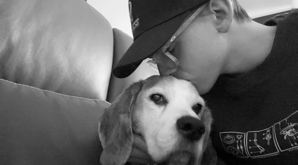 Hazz_Phillips's tweet photo. Today... I had to say good night to the brother who looked after me through my chemo and who has been a massive part to this family. If you were honoured enough to meet him you would know he was the most likeable dog going 💔 

Sweet dreams Buster ❤️ https://t.co/dOScBkVgk9