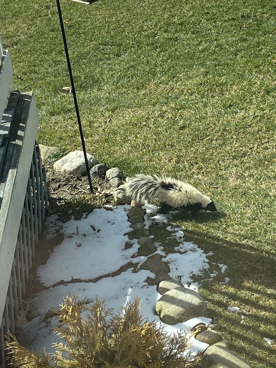 K.R. Wieland tweet media