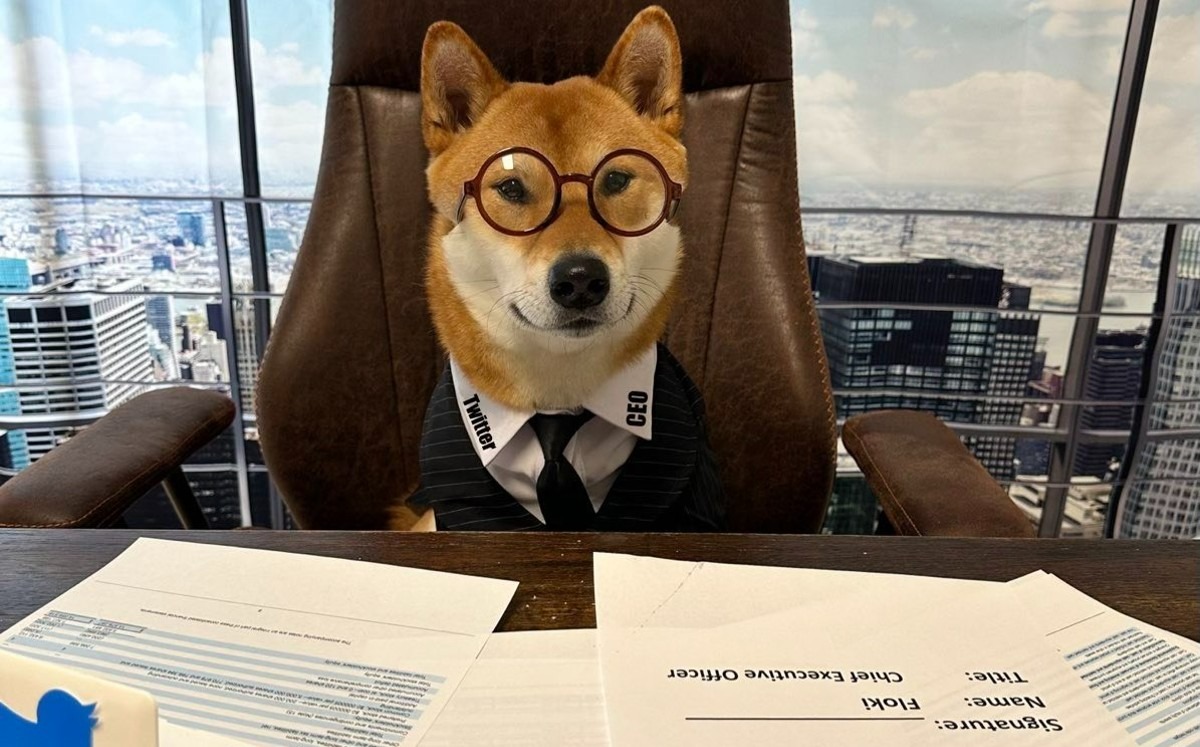 GADev_'s tweet photo. @RealFlokiInu $FLOKI the best CEO ever 😍😍 Huge announcement 🔥🚀🚀 https://t.co/OVM4YB2Nsr