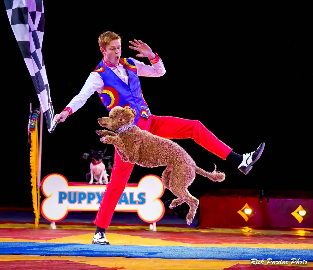 Puppy Pals, known for thier appearance on America's Got Talent, are coming to bring you an unforgettable afternoon on April 15th at 2PM as they lead the pooches through challenging and comical tricks that will surely leave you astonished! Tickets at bit.ly/pals23-ft