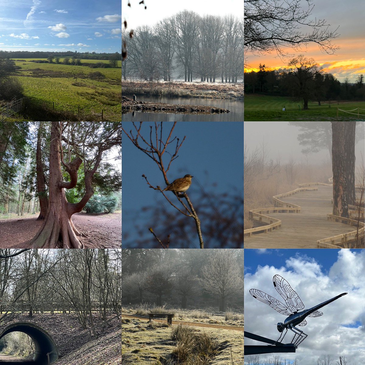 Cold, frosty, blue skies &amp; fog. I have love photographing the countryside this month. #landscapephotography #englishcountryside