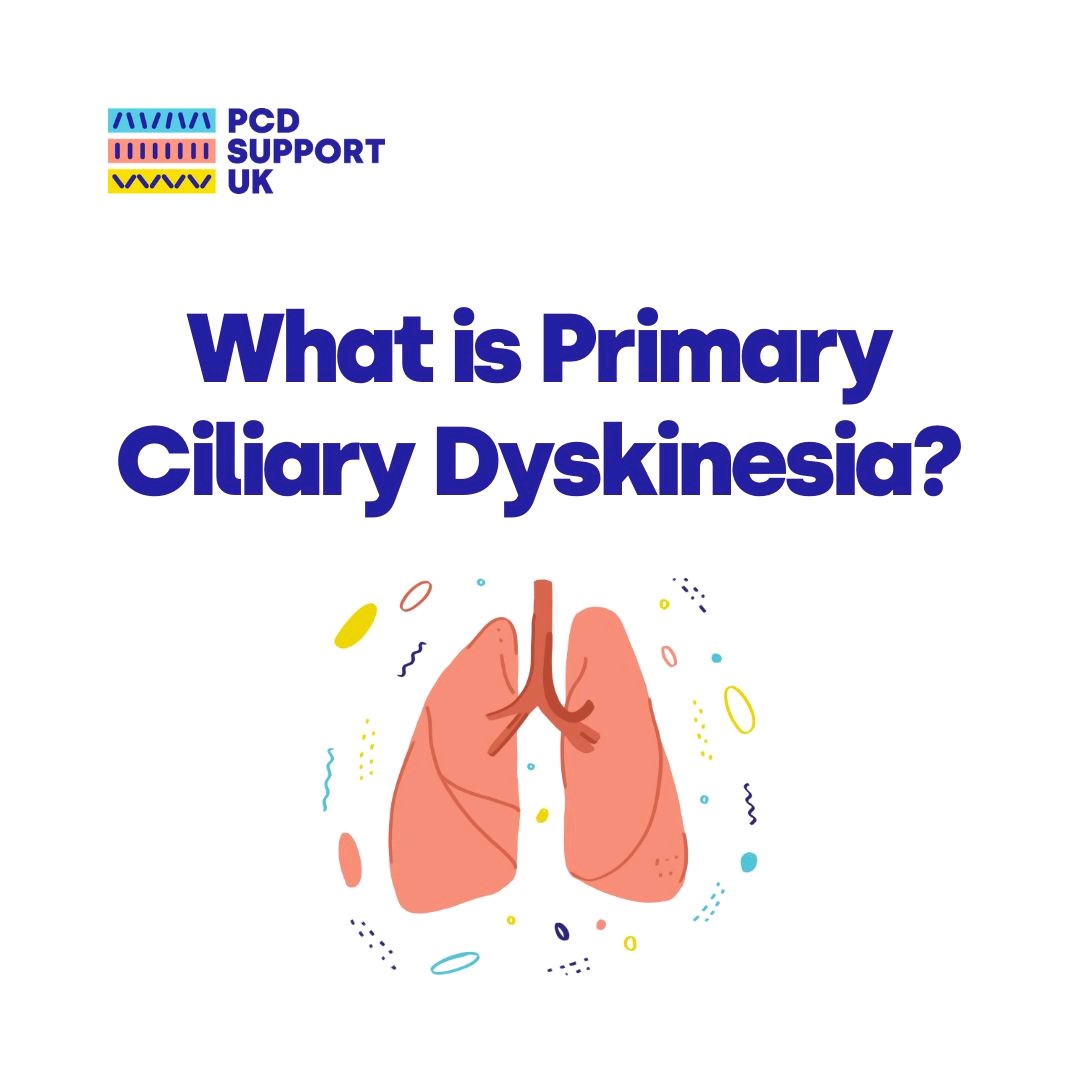 PCD_UK's tweet photo. Primary Ciliary Dyskinesia (PCD) is a rare genetic disease affecting 
1 in 7,500 people in the UK. It is caused by abnormal motile cilia (motile cilia are the microscopic hairs that beat in the airways, sweeping secretions out of the respiratory tract). 

#RareDiseaseDay https://t.co/45FikSIdfQ