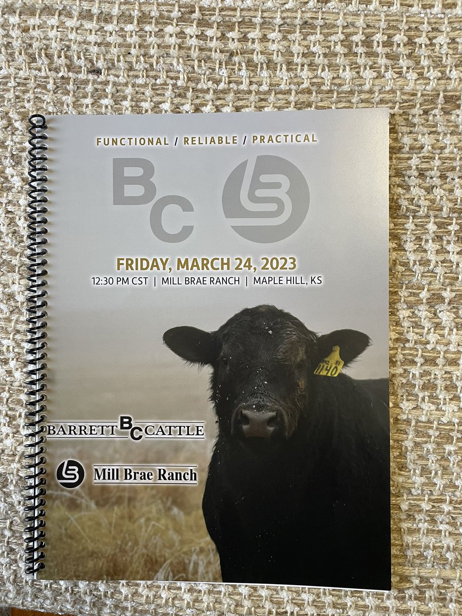 New sale date, new sale location, same bulls. Two programs with similar production ideas

100 18 month old bulls from Barrett Cattle, developed on native pasture weaning-yearling and fescue pasture yearling-sale day. Limited supplementation

20 yearling bulls from Mill Brae Ranch