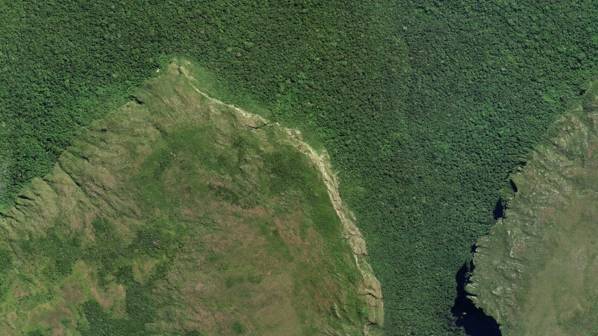 Developers at Planet tweet media