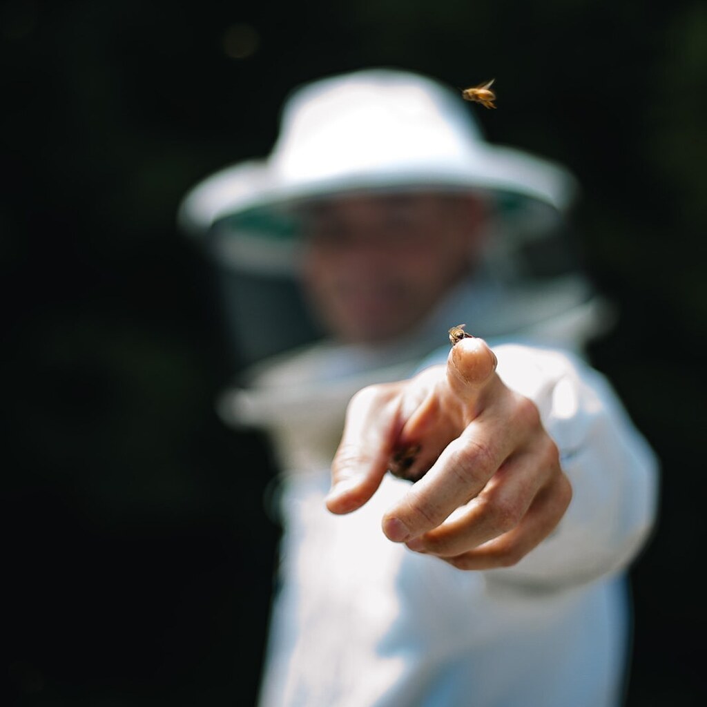 Ready to begin your beekeeping journey?  I'm teaching a beginner beekeeping intensive the next month on March 25 and 26th at @greendoorgourmet in Nashville.  It'll be 16 hours worth of beekeeping instruction including hands-on practice, break-out session… instagr.am/p/CpNpHeLt9FB/