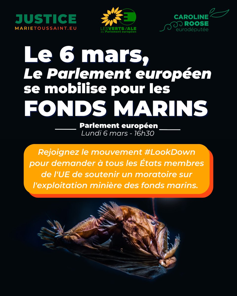 🌊 Le 6 mars, on se mobilise au #Parlementeuropéen pour sauver les #fondsmarins !

Rejoignez-nous avec <a href="/marietouss1/">Marie Toussaint 🌍🌏</a> et des activistes de toute l'#Europe pour demander à tous les Etats membres d'empêcher l'exploitation minière des #fondsmarins !
👉 facebook.com/events/2497120…