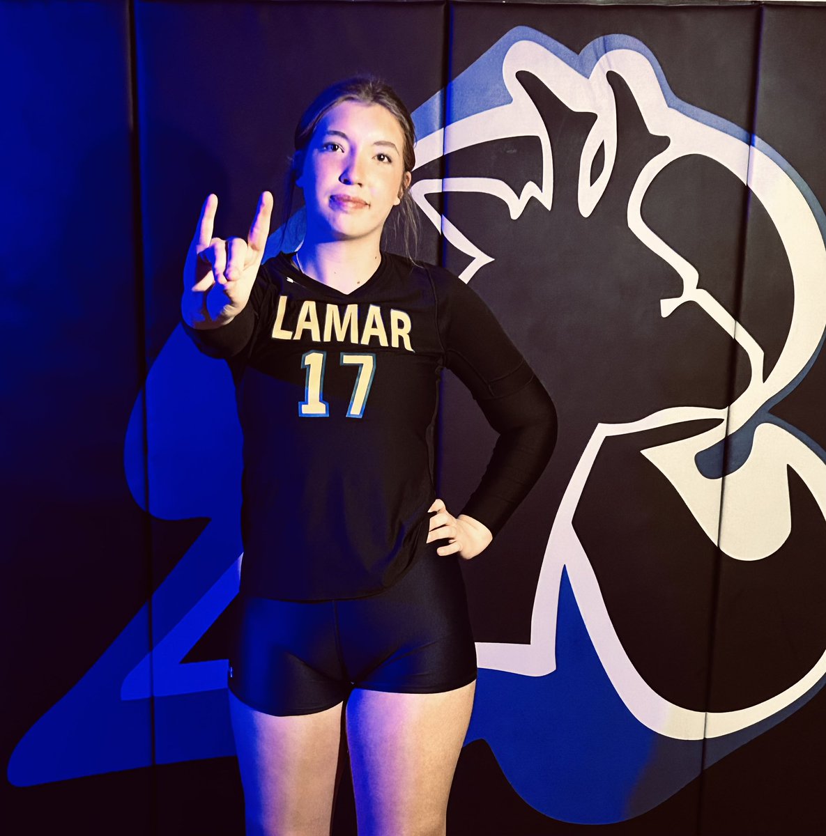 Lamar CC Volleyball tweet media