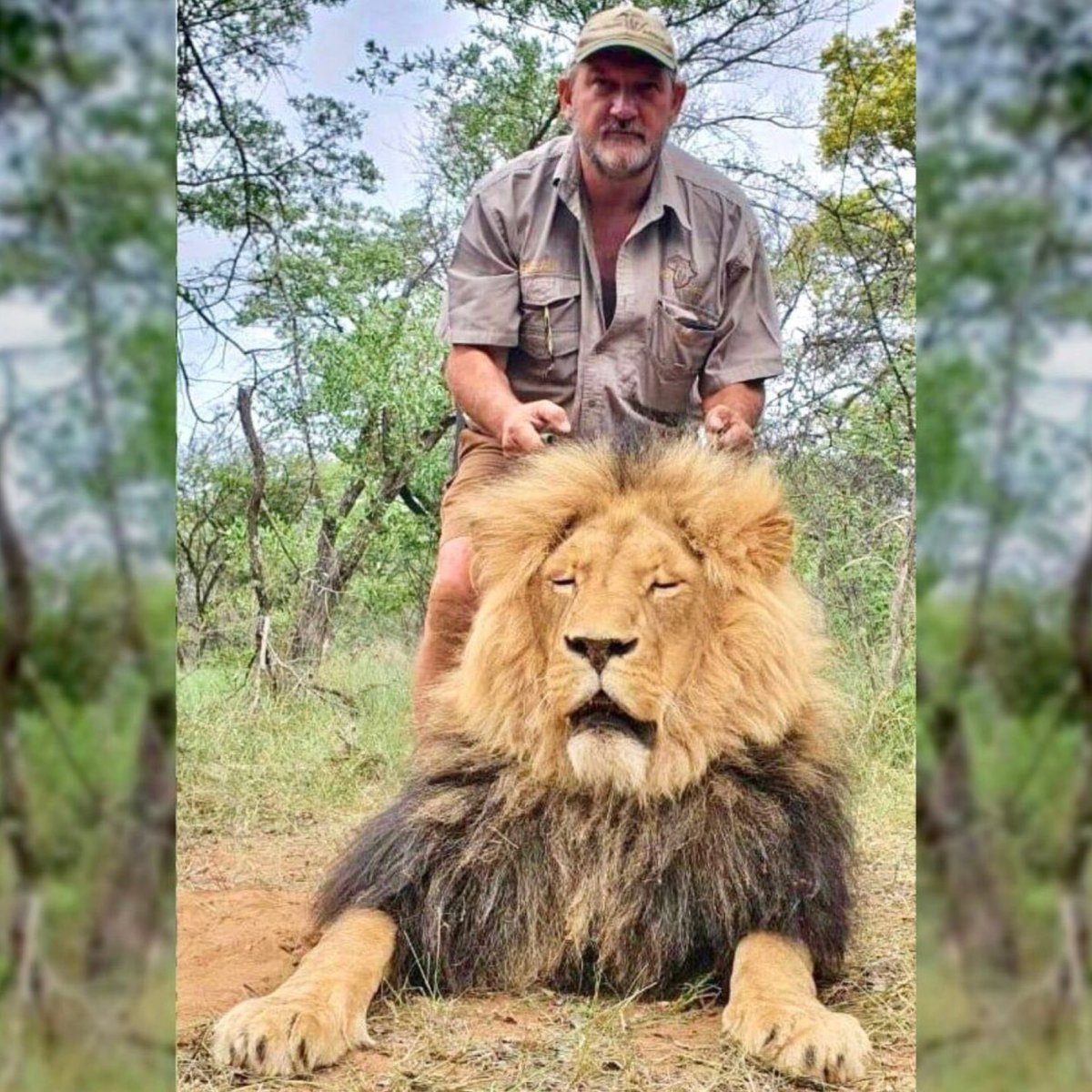 "Trophy hunting is a cruel, unnecessary, and unsustainable practice that has no place in a responsible and ethical society." ― Animal Welfare Institute <a href="/AWIOnline/">Animal Welfare Institute</a> 😭

💙RT if you agree! #BanTrophyHunting #SallysLaw