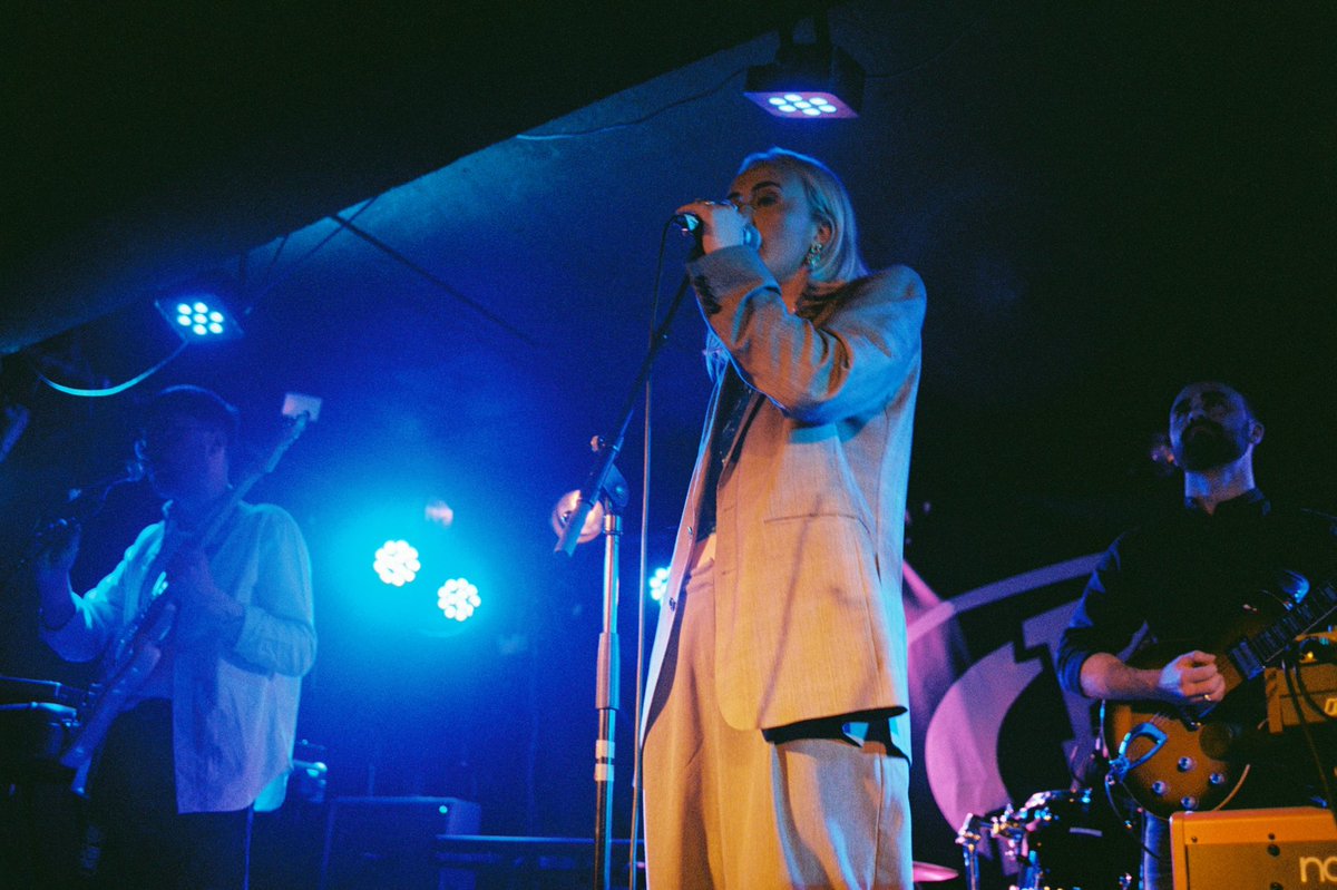 Majesty Palm tweet media