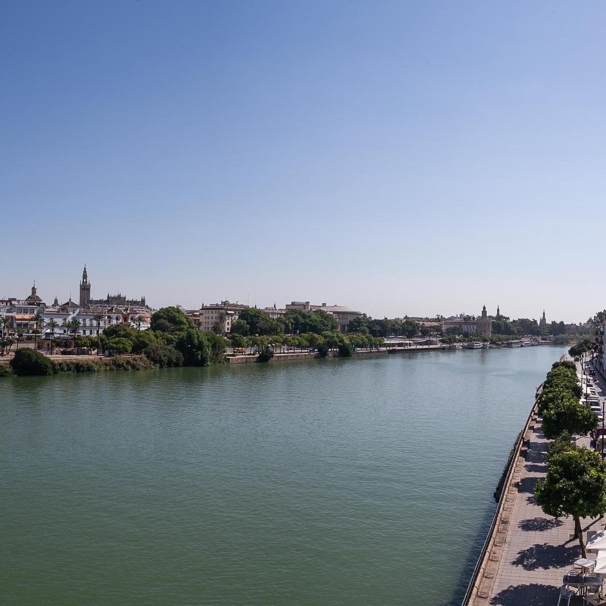 MariaTrifulca tweet media