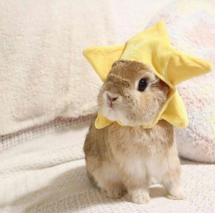teoweasley's tweet photo. 🥹⭐️ https://t.co/kFPPu5CQrF