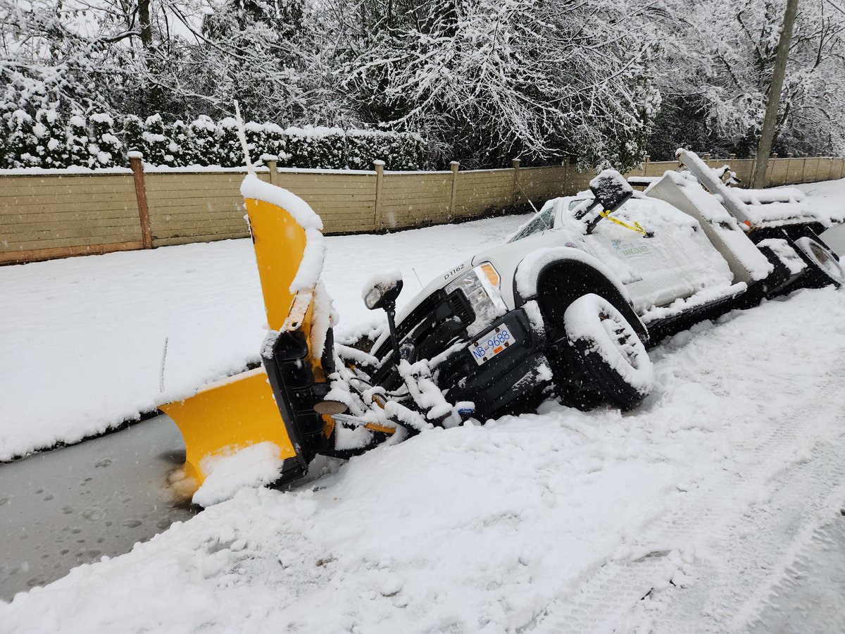 telf maynard tweet media