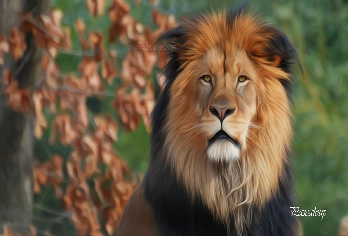 ArtPascaloup's tweet image. 