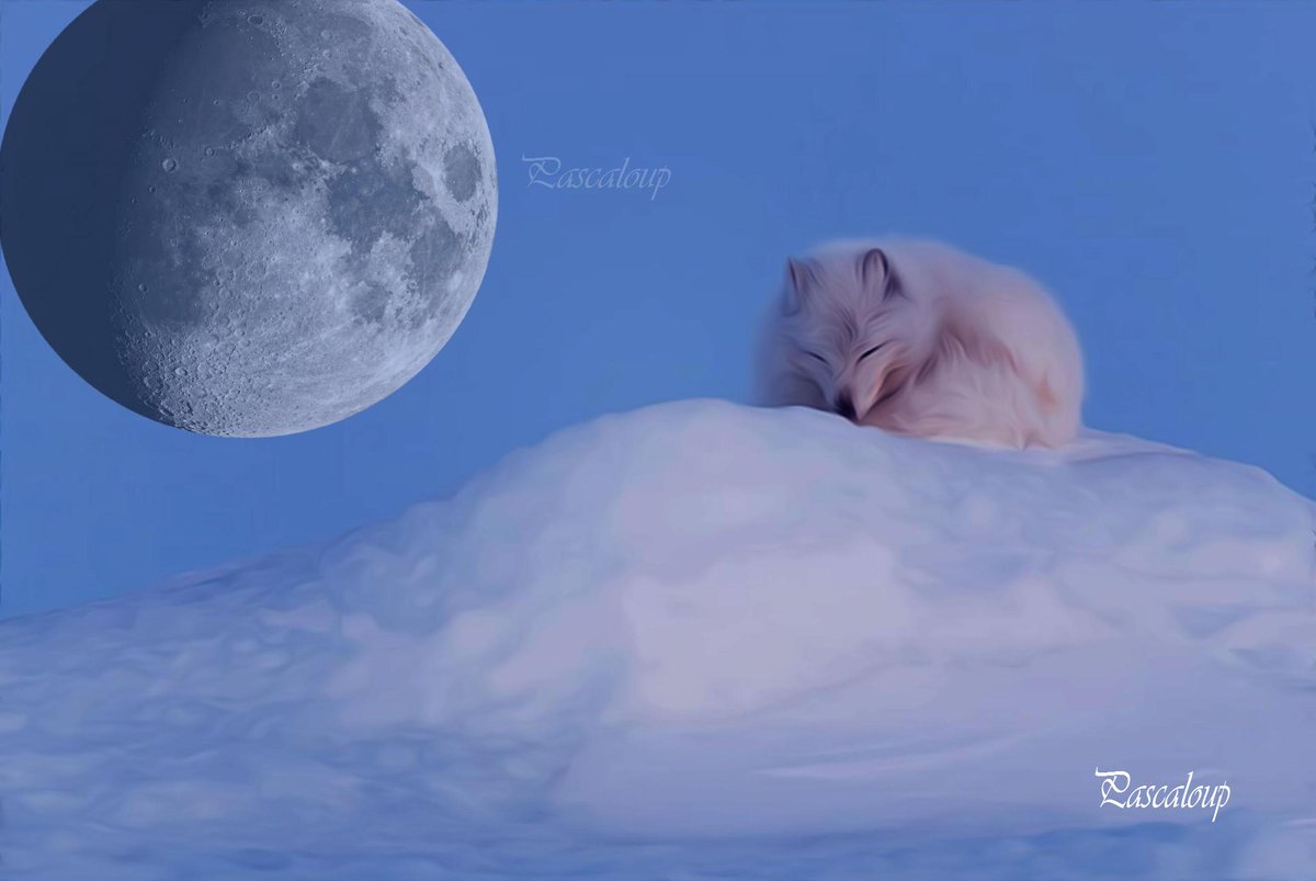 ArtPascaloup's tweet image. 