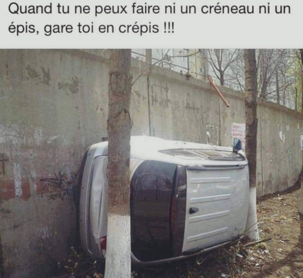 ArtPascaloup's tweet image. 