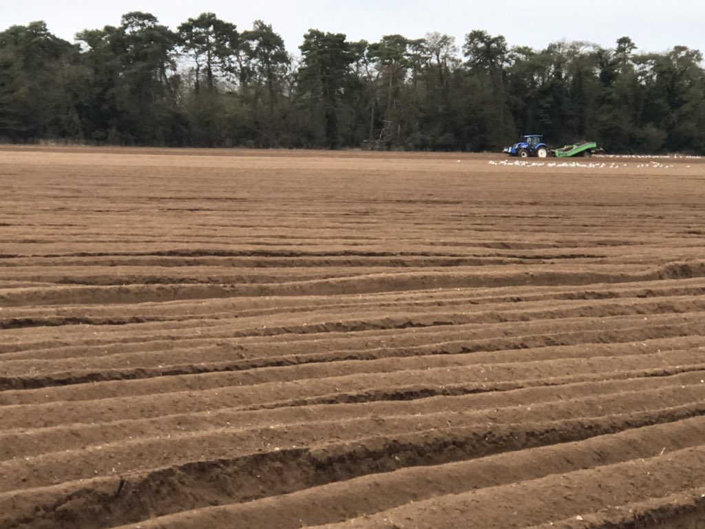 Potato23 on the go 👍