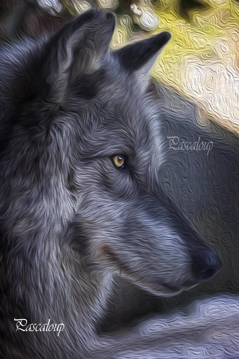 ArtPascaloup's tweet image. 