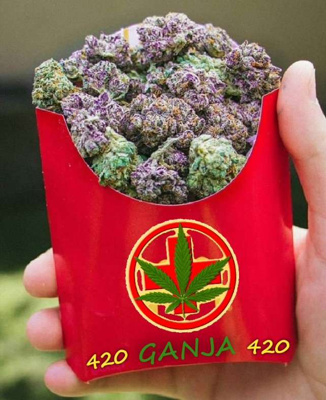 LeónMagico 420 tweet media