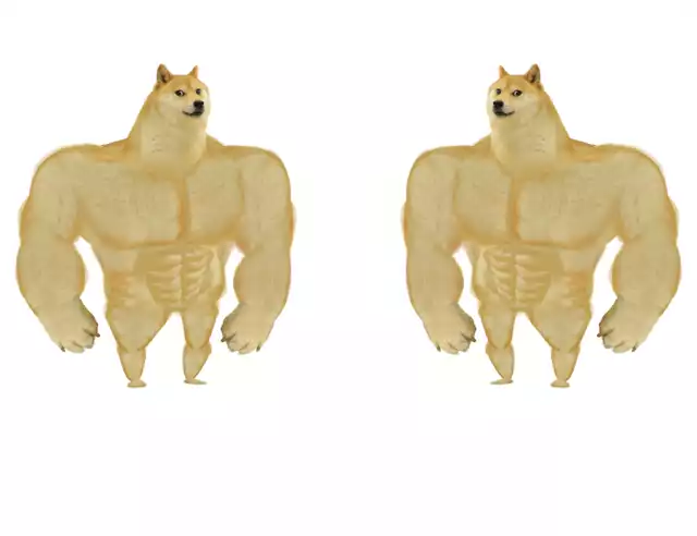 Swole Doge ($SWOLE) tweet media