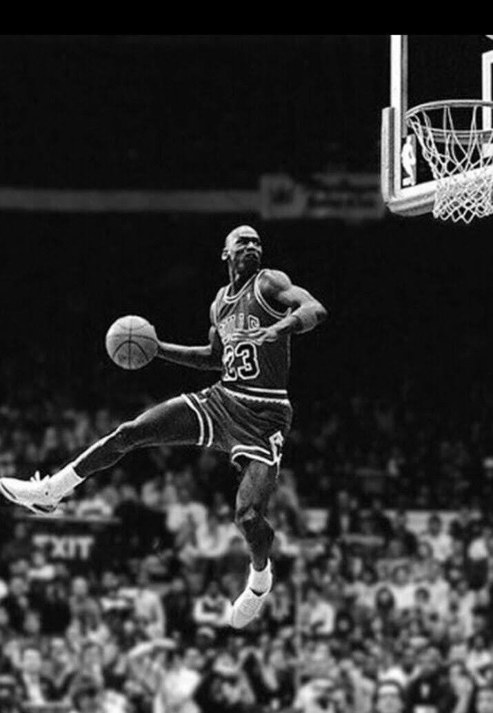 I have missed more than 9,000 shots in my career. I have lost almost 300 games. 

26 times I have been trusted to take the game's winning shot and missed. 

I have failed over and over and over again in my life, and that is why I succeed.

—Michael Jordan
