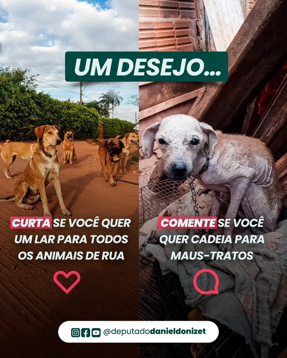 danielxdonizet's tweet photo. Eu curto e comento! E você?

#deputadodanieldonizet #avozdosanimaisnodf #protetordosanimais #defensordosanimais #cadeiaparamaustratos https://t.co/3IDxmIhTlN
