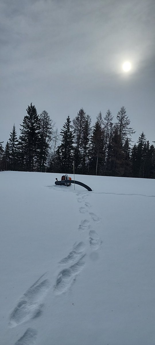 Tyson Arcand tweet media