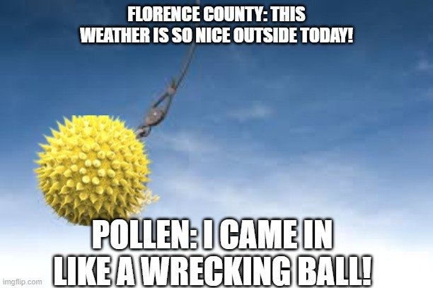 FlorenceCoEMD's tweet image. Benadryl and Allegra are flying off the shelves like bread and milk during a winter storm! Stay strong FloCo and may the odds be ever in your favor!
#Unbeelievable  #BeePrepared  #PollenIsAsPollenDoes
#FCEMD #weatheroutlook  #alwaysbepreppin