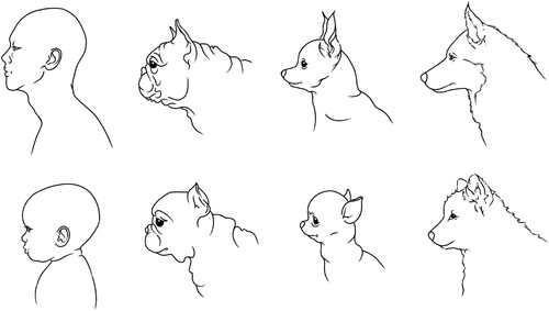 New Research: Are Brachycephalic Dogs Really Cute? Evidence from Online Descriptions

#Anthrozoology #Dogs #Brachycephalic <a href="/DogsbodyRVC/">Dr Rowena Packer</a> @Bristol_Vets @VikkiNeville 

tandfonline.com/doi/full/10.10…