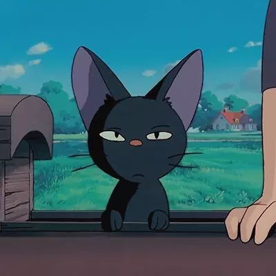 meowslimm's tweet photo. https://t.co/sTw67f0sXa
