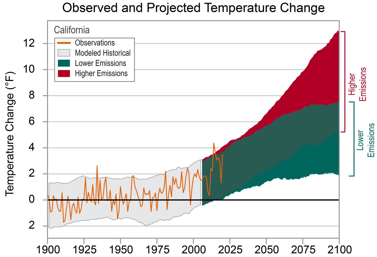 Zorro P Freely⌚️ tweet media