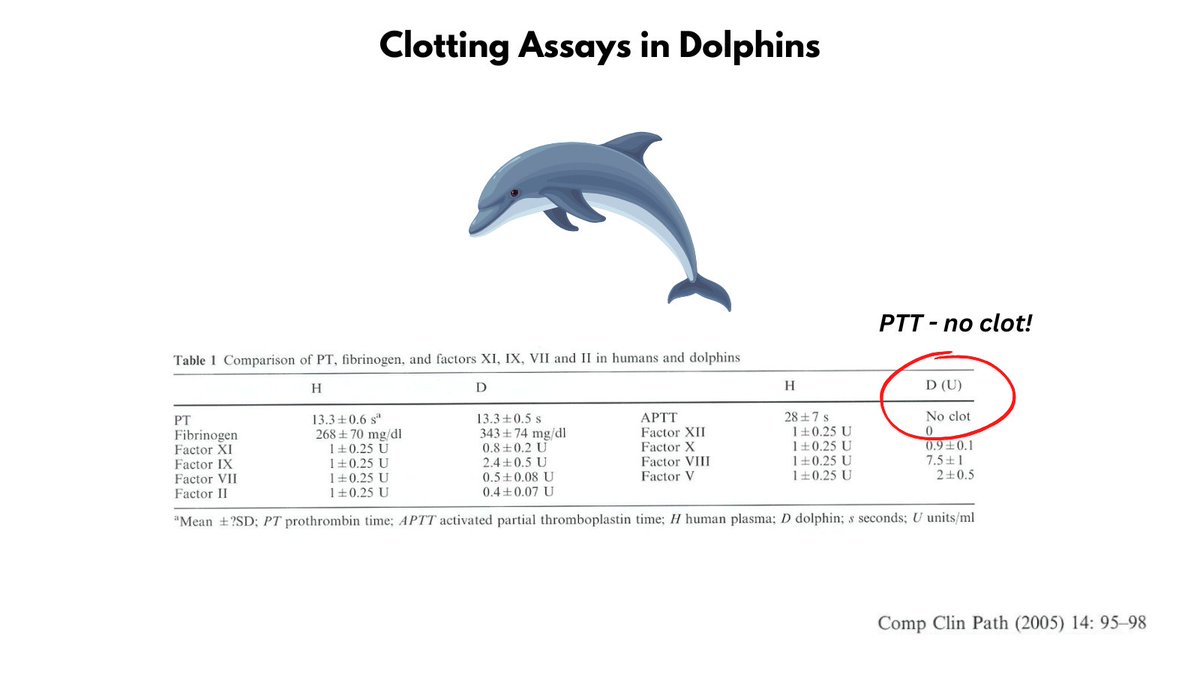 1/6 

Most mammals share the same clotting cascade. But there are exceptions. Check out the clotting assays from dolphins in the graphic. Note that their PT is comparable to humans, but they do not clot in the aPTT assay. 

Q: What are possible explanations for this finding?