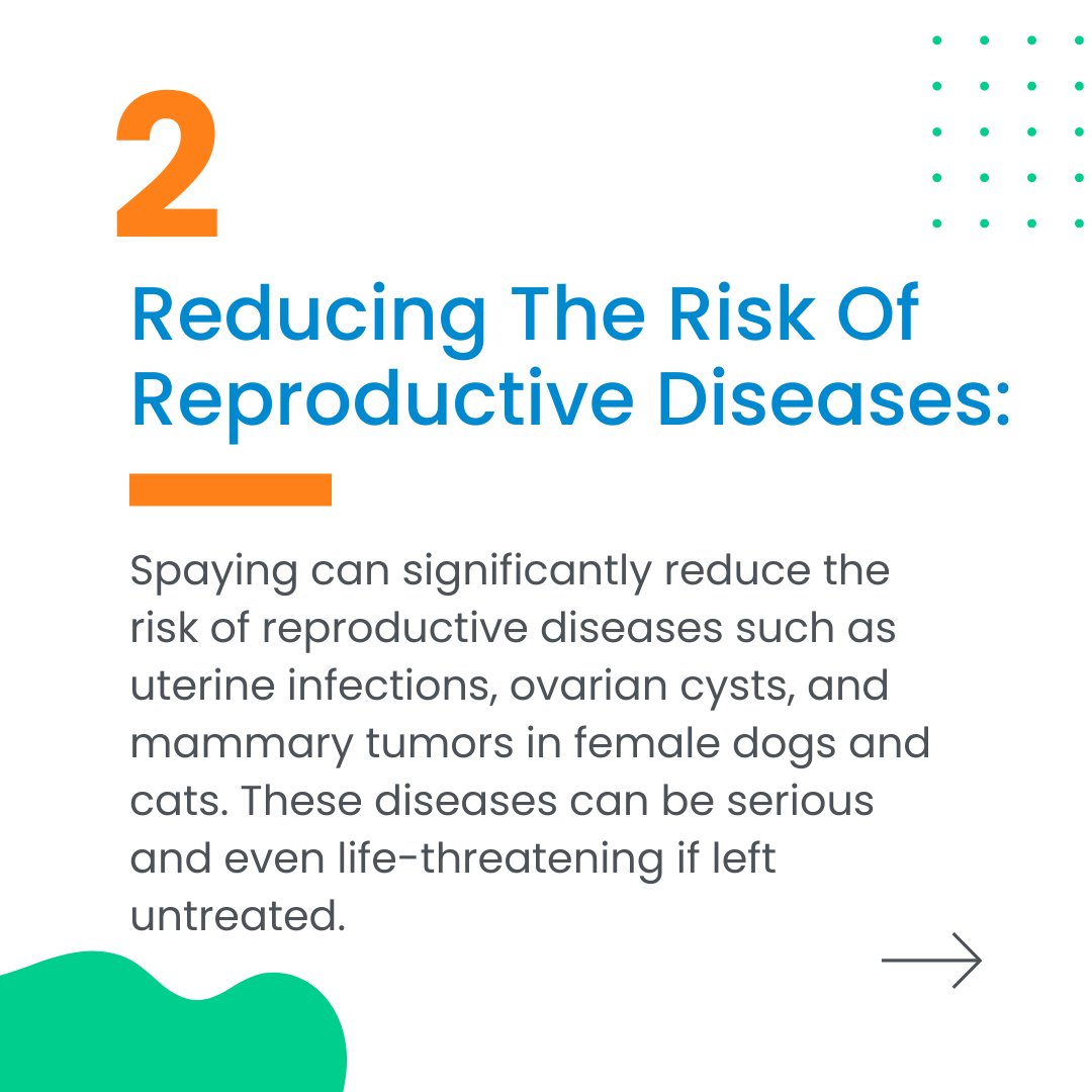 PetHealthExpo's tweet photo. Spaying is the surgical removal of a female animal's reproductive organs, which typically includes the ovaries and uterus. Here are some reasons why spaying dogs and cats is important! 🐶🐱#WorldSpayDay #PetHealthExpo! https://t.co/8Yv85RYirG