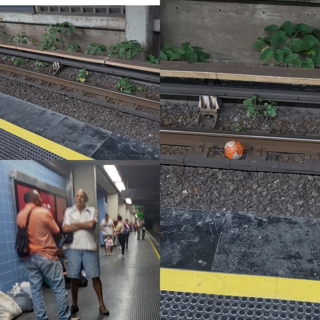 Partido Acción Nacional tweet media