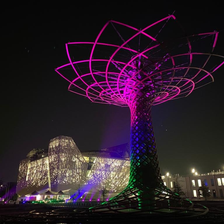 #LightUpForRare! Our Tree of Life joins the European Call for the #RareDiseaseDay with sustainable energy produced by a cycling challenge organized by Astrazeneca. 

Rare diseases affect more than 300 million people worldwide. Help us build awareness and generate change for them!