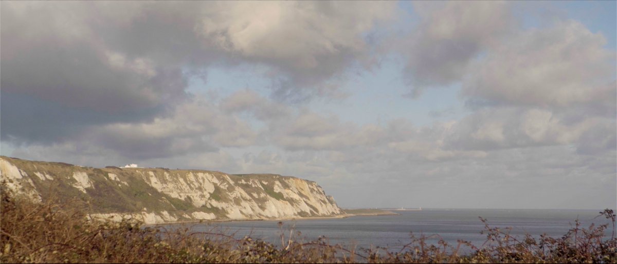 Jessi Gutch tweet media