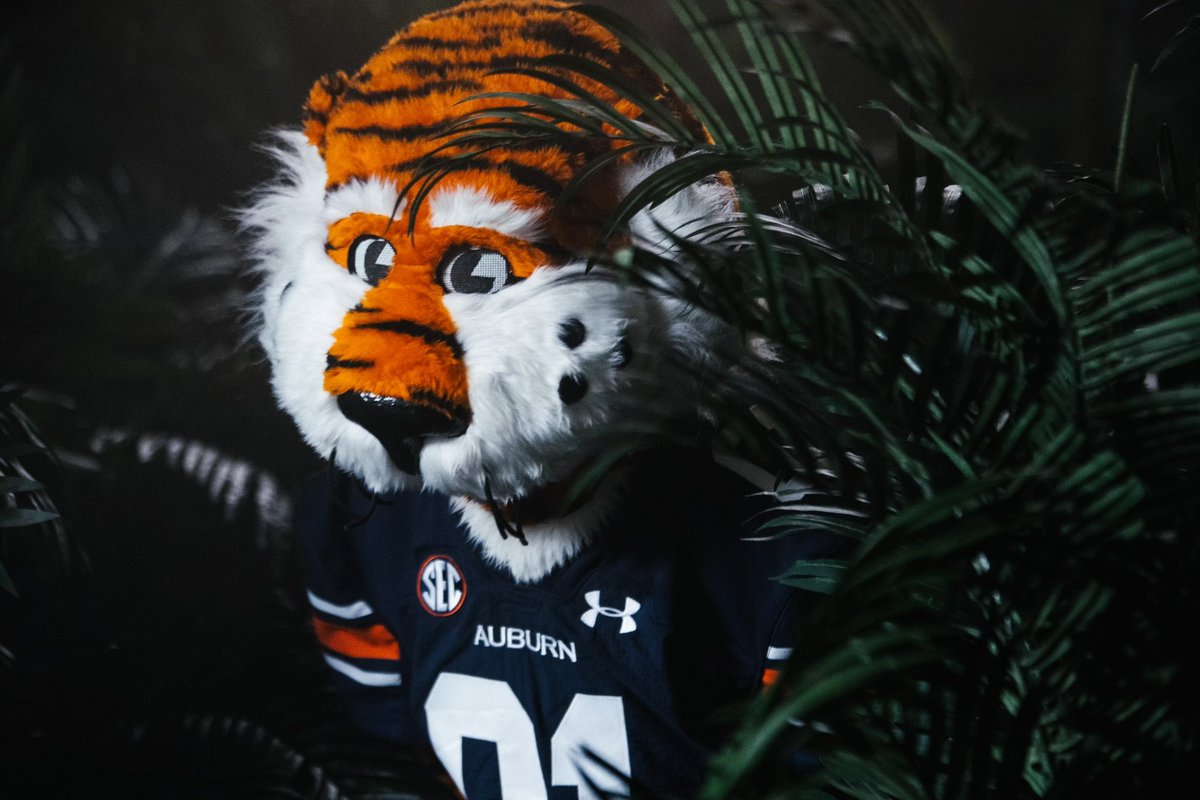 AuburnTigers's tweet image. Hit that RT and help us wish @AubietheTiger01 a Happy Birthday!!!! 

#WarEagle