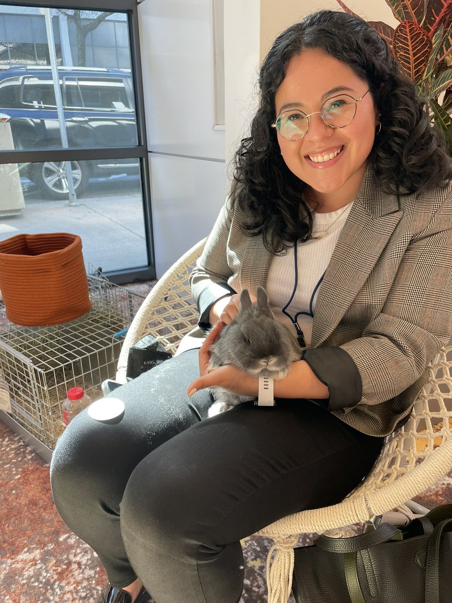 BUNNIES! #bunnytherapy <a href="/TriComFdn/">Triangle Community Foundation</a> <a href="/ncgrantmakers/">NC Grantmakers</a>