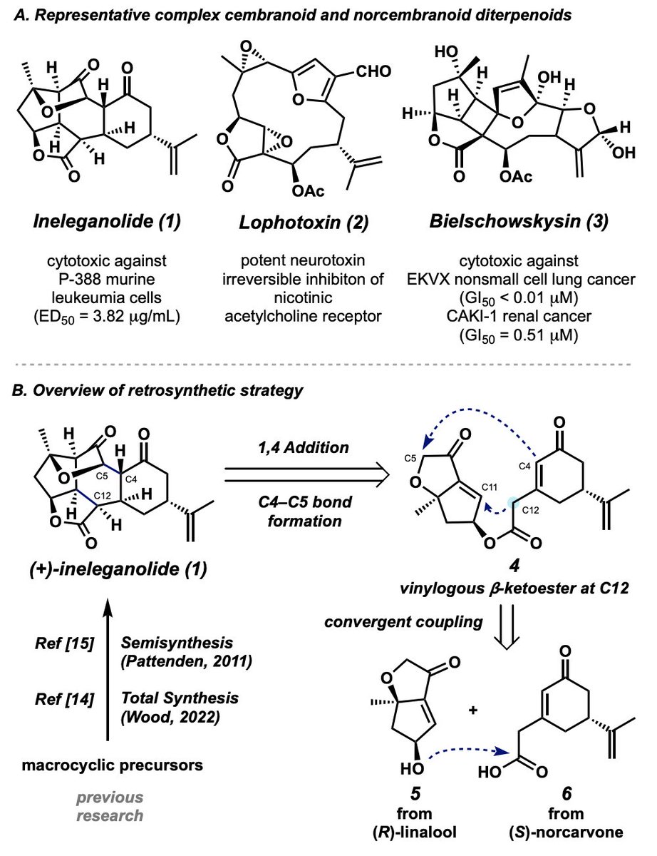 Total Synthesis tweet media