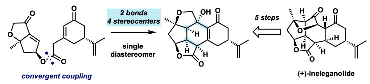 Total Synthesis tweet media