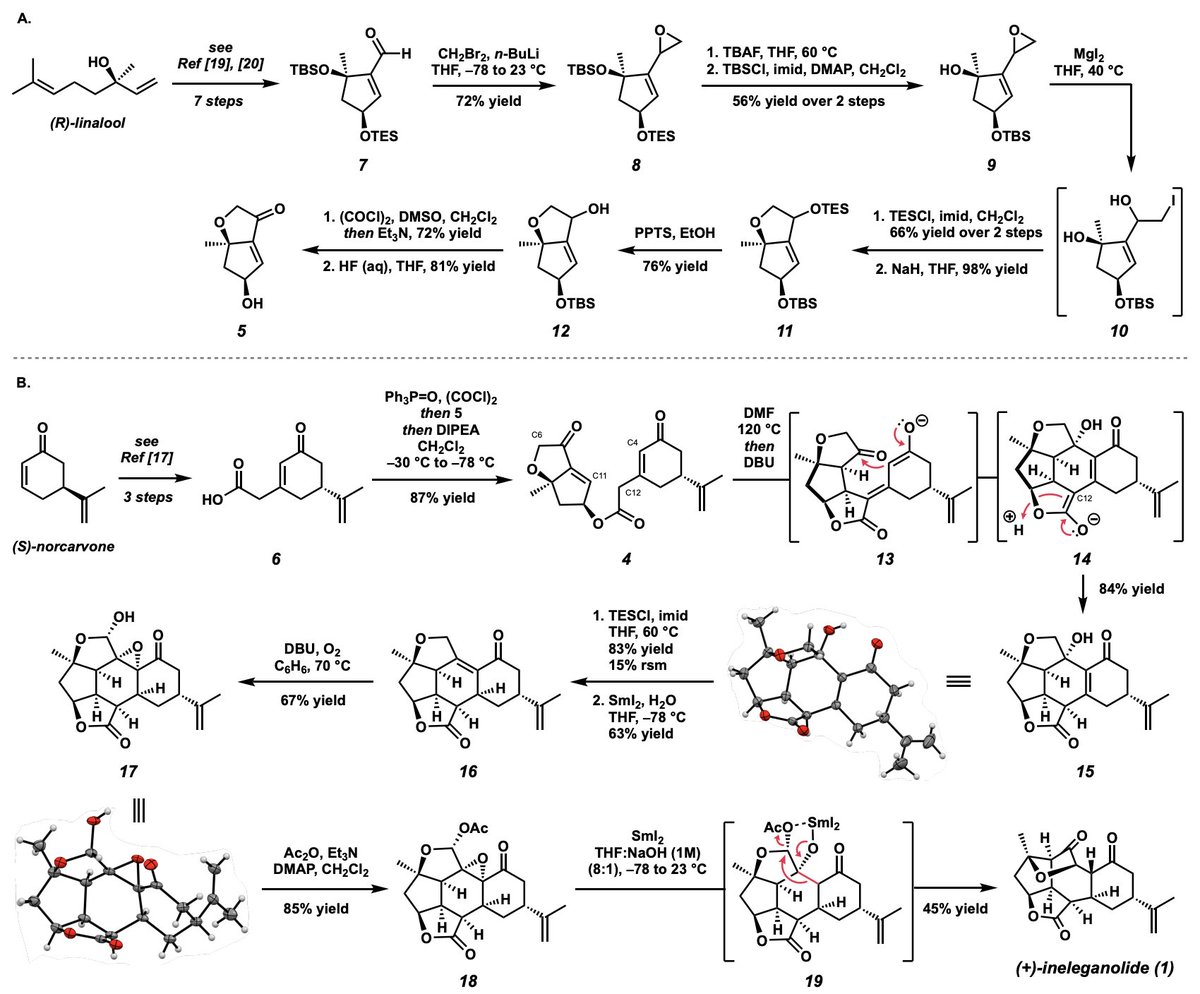 Total Synthesis tweet media