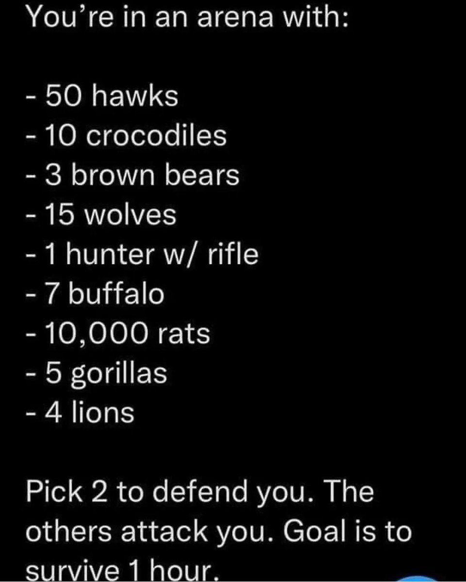 MPaige226914's tweet image. ... I'll take the rats 🐀 &amp;amp; wolves 🐺. Definitely not a human with a gun.
YOU?? I'm curious 🤔 
#funtweets #Curiosity